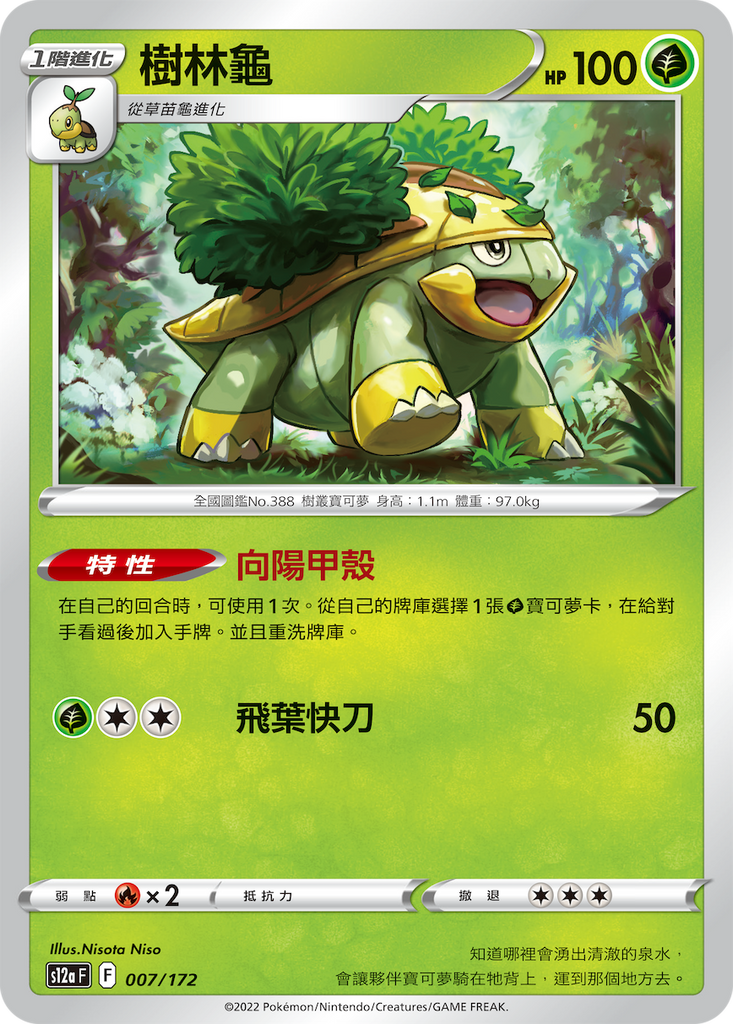 樹林龜 - HobbyX Store