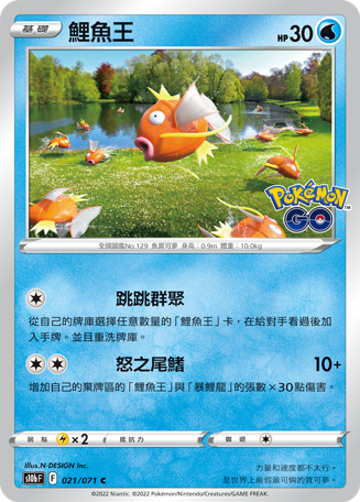 鯉魚王 C - HobbyX Store